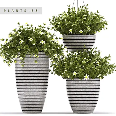 PLANTS 68
