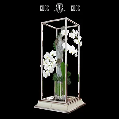 Orchid  ART EDGE