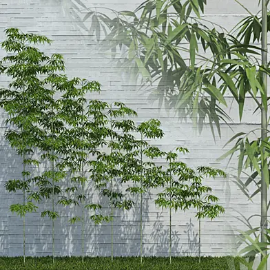 Bamboo Trees for scatter