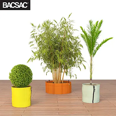 BACSAC