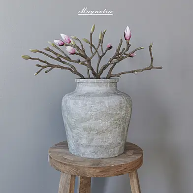 Magnolia in concrete vase