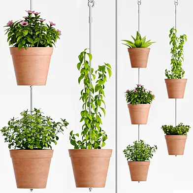 PLANT SET -60