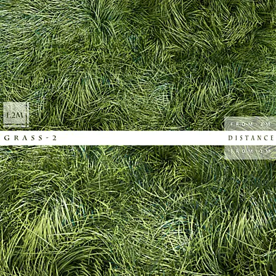 GRASS 2