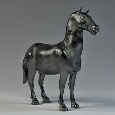Horse01