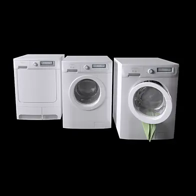 REX Electrolux Laundry