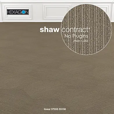 Shaw Carpet Hexagon Linear No: 1
