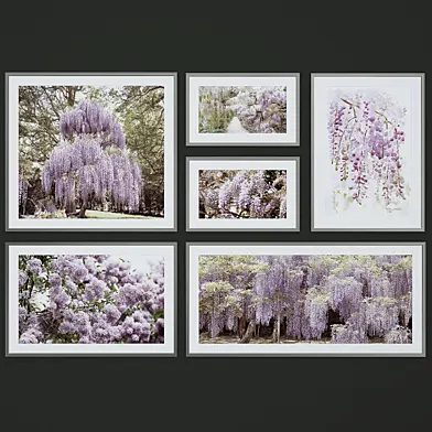 ART_PICTURES_12