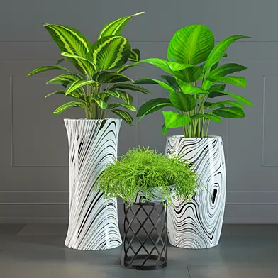 Plant Set #2