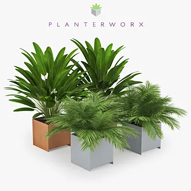 Planterworx TRUE SQUARE Tropical