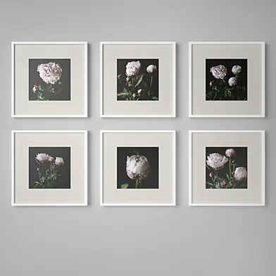 Set of paintings 17