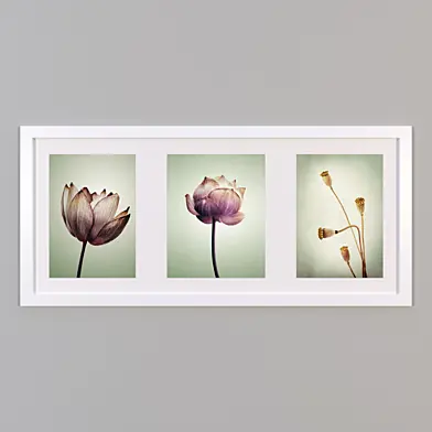 Wall Pictures 16
