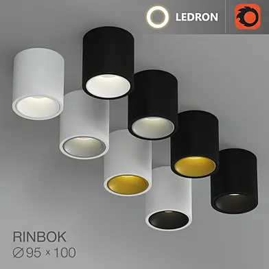 Ledron Rinbok