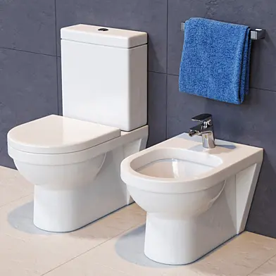 Villeroy and Boch Toilet and Bidet
