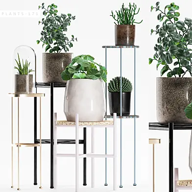 PLANTS 171