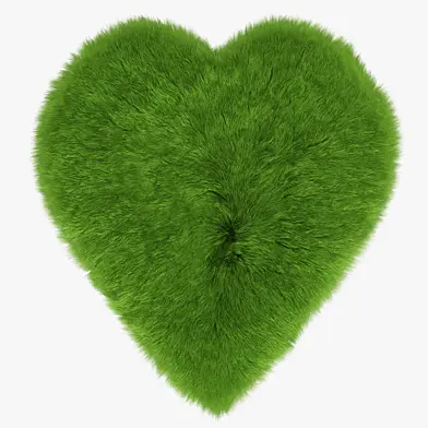 Green Heart rug