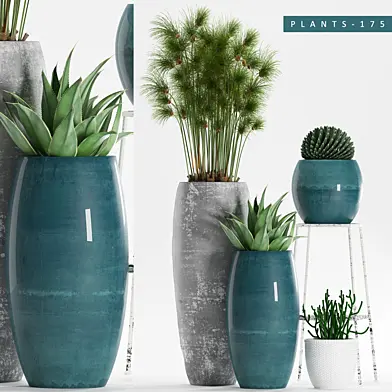 PLANTS 175