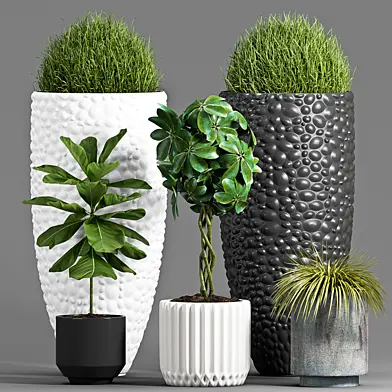 PLANT SET -97