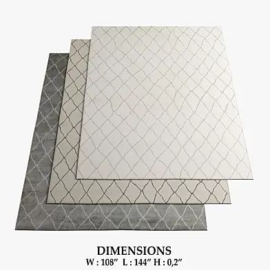 Restoration Hardware Rugs_110