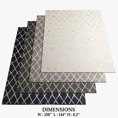 Restoration Hardware Rugs_128