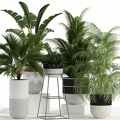 Plants collection 110