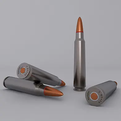 Bullet