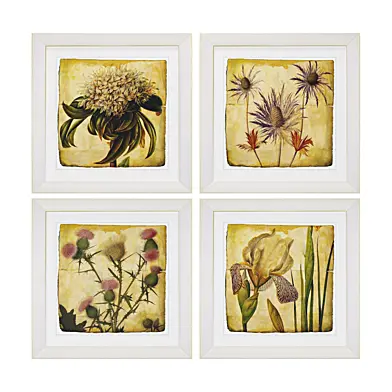 Vintage Botanical by Zhee Singer Framed Painting Print set 10
