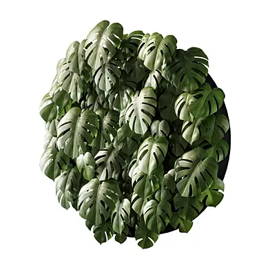 vertical garden 04
