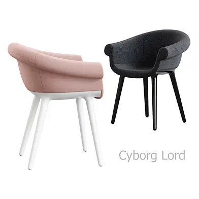 Magis / Cyborg Lord