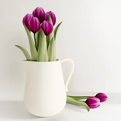 Bouquet of tulips