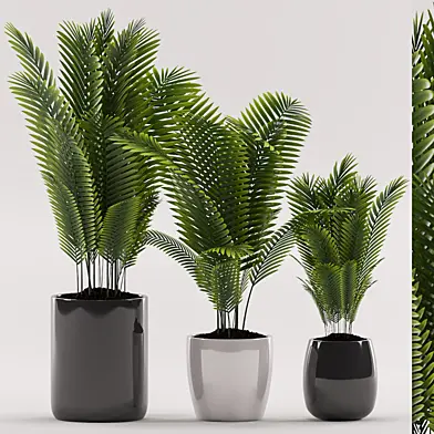 Plants 100