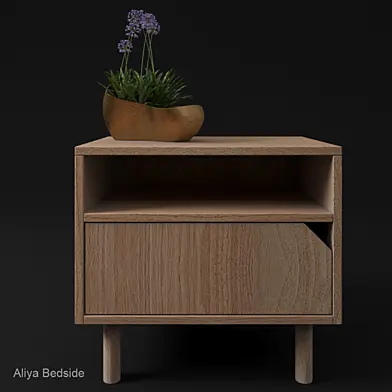 Aliya Bedside