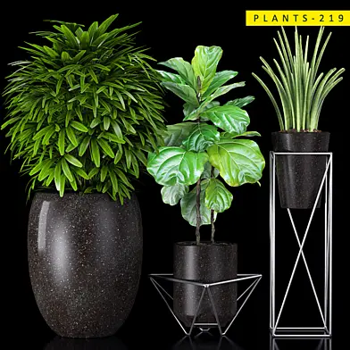 PLANTS 219