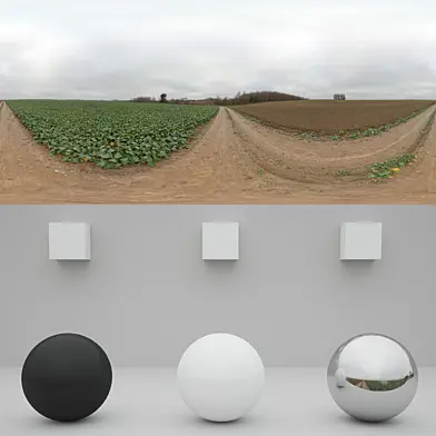 HDRi дорога в поле