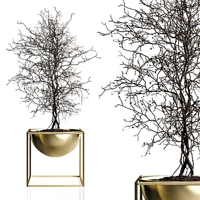 Branching tree