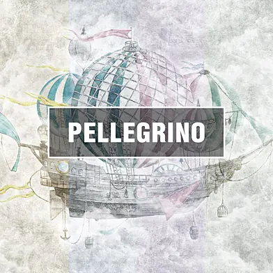 Factura | PELLEGRINO
