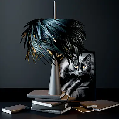 Plumage 48