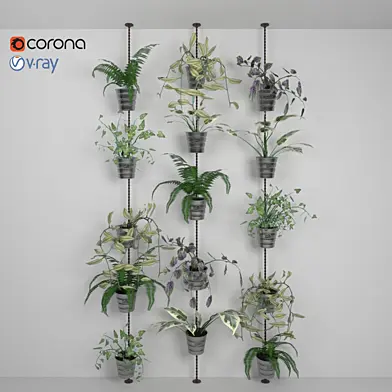 Wall plants