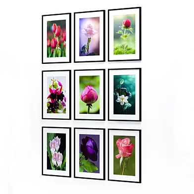 Collection Of Picture