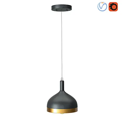 Ceiling Lamp Houzz 19