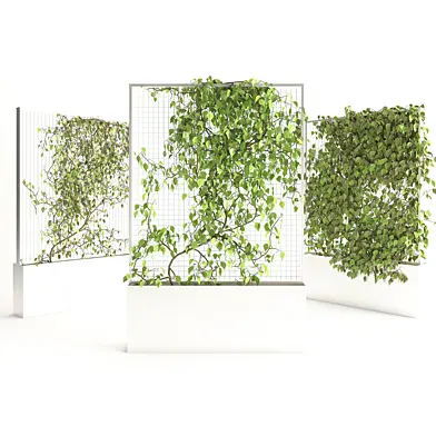 Planter With Plants 03