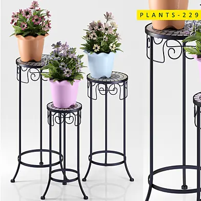 plants 229