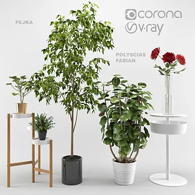 Ikea plants set