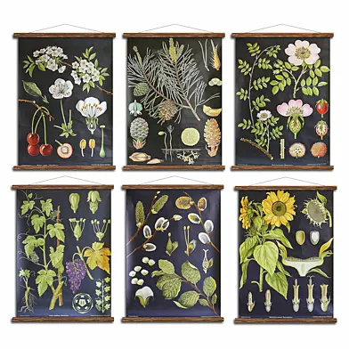 Mighty Vintage - Botanical Illustration