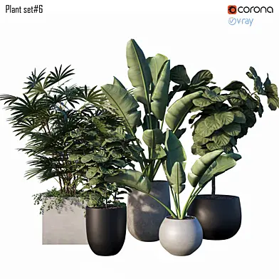Plant set # 6