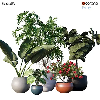 Plant set # 8