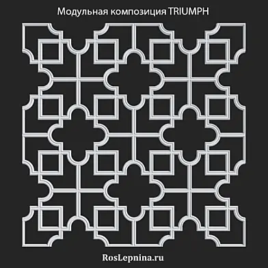 OM Модульная композиция TRIUMPH от RosLepnina