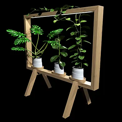 Plants set