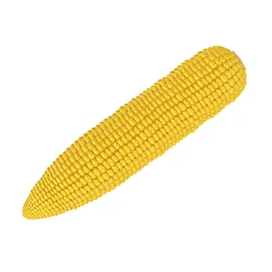 Corn
