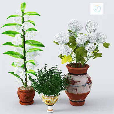 Flower_room_set1