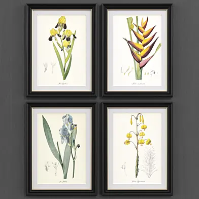Set of Botanica No.2